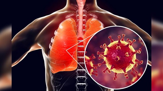 چرایی حمله ویروس کرونا به دستگاه تنفسی/ آلودگی کودکان به کروناویروس را جدی بگیریم / کرونا سرمادوست است و دمای دستگاه تنفسی هم به جای ۳۷ درجه ۳۳ درجه است