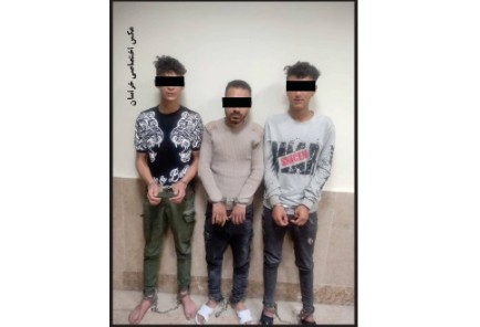 شبکه مخوف «جغدهای شبگرد» در تور پلیس مشهد