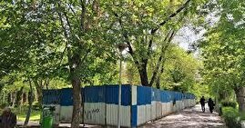 محمد درویش، فعال محیط‌زیست، مطرح کرد:
حصارکشی در پارک لاله | مردم تهران افسرده‌اند و دارند خفه می‌شوند؛ درخت‌ها را قطع نکنید! | ادعای کاشت ۶۳۶هکتار درخت از سوی شهرداری شبهه‌ناک است