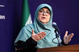 سخنگوی دولت درباه اینترنت طبقاتی: دولت با آزادی اینترنت موافق است، اما اگر برای مثال خبرنگار نیاز به اینترنت آزادتری دارد باید به او داد / امور را نمیتوان معطل کرد تا مسائل حل شود سخنگوی دولت درباه اینترنت طبقاتی: دولت با آزادی اینترنت موافق است، اما اگر برای مثال خبرنگار نیاز به اینترنت آزادتری دارد باید به او داد / امور را نمیتوان معطل کرد تا مسائل حل شود