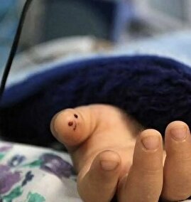 ماجرای فوت ناگهانی دانشآموز ۹ ساله ایلامی در زمان زنگ تفریح ماجرای فوت ناگهانی دانشآموز ۹ ساله ایلامی در زمان زنگ تفریح