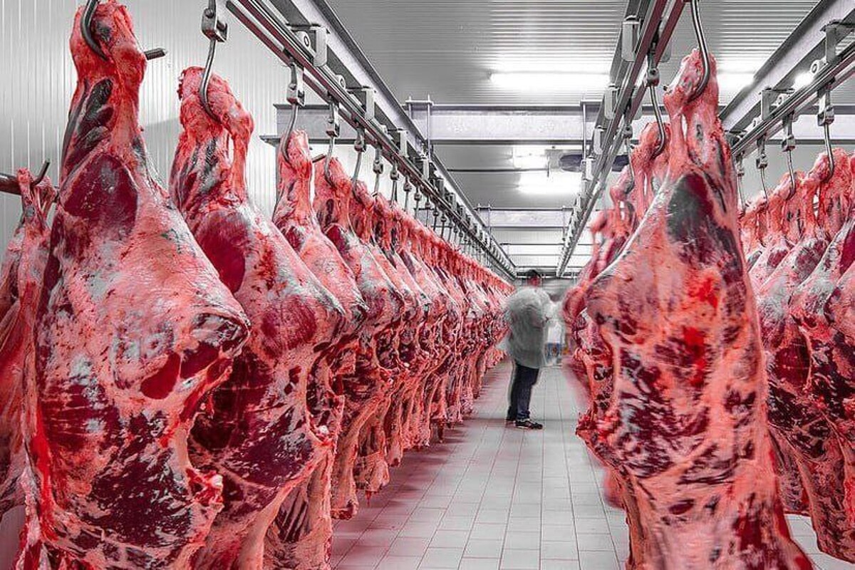 معاون وزیر: گوشت سال بعد به کمتر از ۵۰۰ هزار تومان می‌رسد