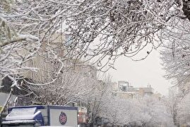هشدار برف و باران برای تهران/ هوا سردتر می‌شود