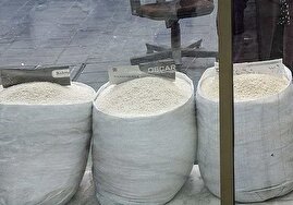 برنج را از سفره‌های کارگران حذف کردید؛ به کالابرگ افتخار نکنید!