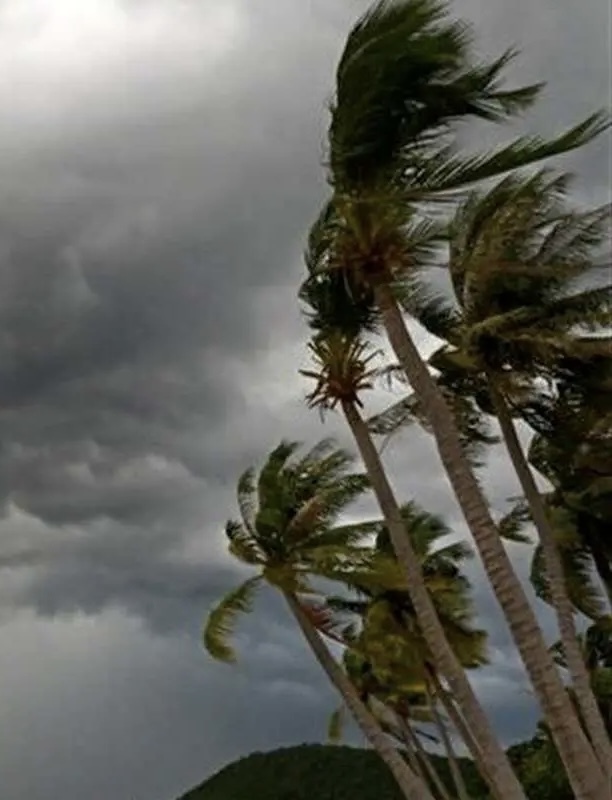 پیشبینی آب و هوای ایران از شنبه ۱۱ بهمن / روند افزایشی دما در اکثر استانها