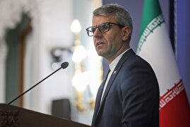 سخنگوی وزارت خارجه: در این دور از مذاکرات در ژنو، هم کارشناسان و هم افراد فنی در حوزه هسته‌ای در تیم ما حضور دارند/ رفع تحریم‌ها برای ایران یک موضوع لاینفک است