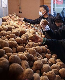 وزیر کار: از ۱۵ اسفند اقلام میوه و تره‌بار مانند سیب‌زمینی و پیاز به کالابرگ اضافه خواهند شد