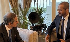 دیدار وزیر خارجه عمان با گروسی