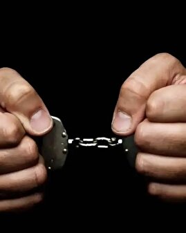 بازداشت یک ایرانی در فرودگاه آمریکا؛ بهرام محمد استواری کیست؟