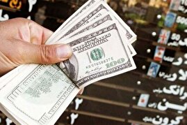 قیمت جدید دلار، یورو و سایر ارزها امروز ۲۲ تیرماه ۱۴۰۴/ شیب تغییر قیمت دلار تند شد