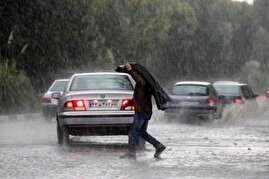 هشدار تشدید بارشها/ احتمال سرمازدگی باغات در چهار استان هشدار تشدید بارشها/ احتمال سرمازدگی باغات در چهار استان