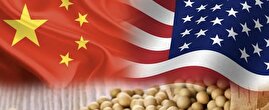 «سویا» چطور آمریکا و چین را پای میز مذاکره نشاند؟