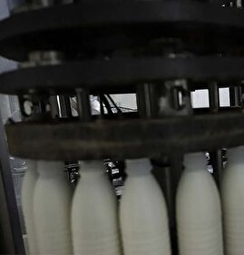 لبنیات ۳۰ درصد گران شد