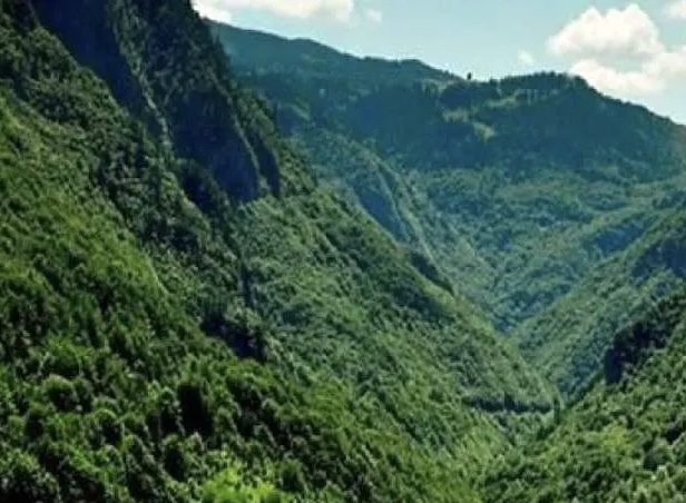 جنگل هیرکانی قدیمی‌تر است یا هیمالیا؟