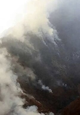 گزارش تازه استاندار مازندران از آتش‌سوزی الیت/ ۸ هکتار خسارت دید