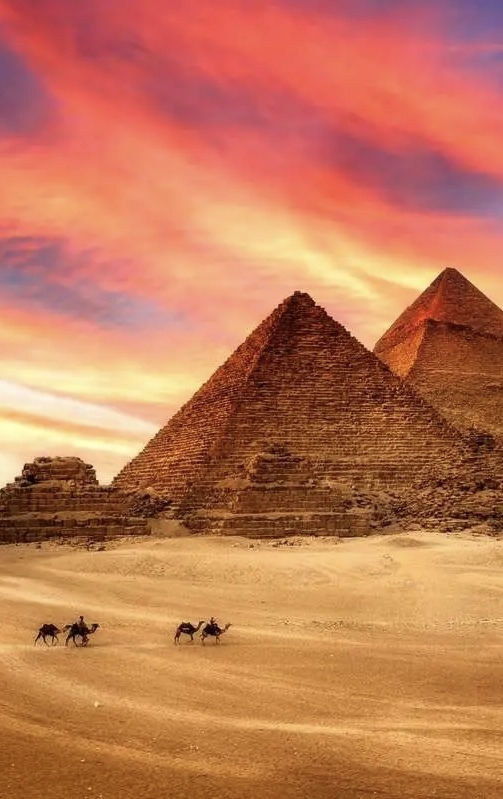 قیمت دلار در مصر، بلژیک و نیوزیلند چقدر است؟