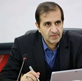 خداحافظی ناگهانی مقام ارشد دولتی/ جوادی‌یگانه استعفا کرد