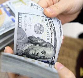 چرا قیمت دلار با شتاب بالا می رود و چرا دولت کاری نمی کند؟