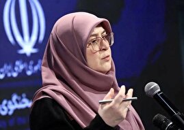 سخنگوی دولت: دولت مخالف مصوبه مهریه بود