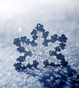 تهران یخبندان می‌شود