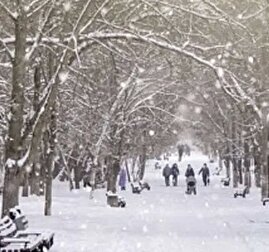 هشدار هواشناسی برای بارش برف و باران در ۴ استان/ زمان پایان فعالیت سامانه بارشی اعلام شد