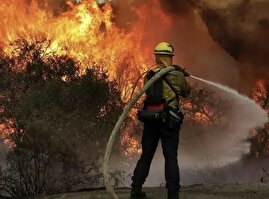 عامل انسانی حریق الیت تأیید شد؛ بررسی علت دقیق ادامه دارد