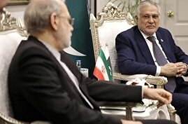 لاریجانی: حاضریم «کارت سفید» به پاکستانی‌ها بدهیم